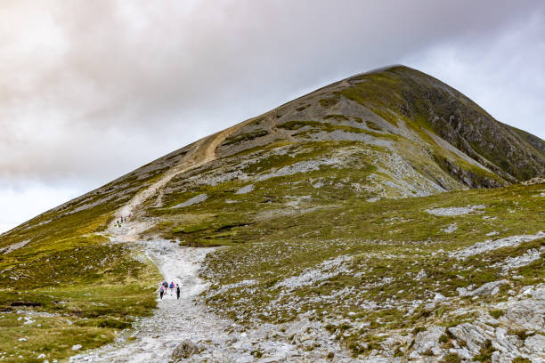 Trail, Rocks and vegetation at Croagh Patrick mountain with Westport in background, Westport, Ireland
